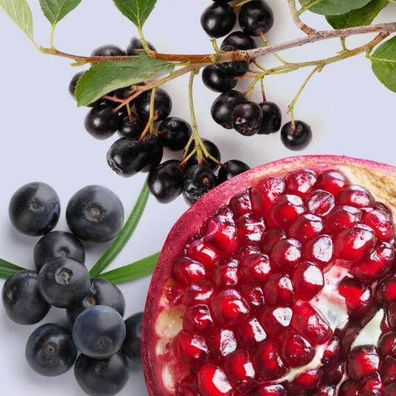 A close up image of pomegranates and bluebrries arranged on a wooden table. These antioxidant-rich fruits,high in polyphenols,are beneficial for managing PCOS symptoms and can complement PCOS supplements for overall health