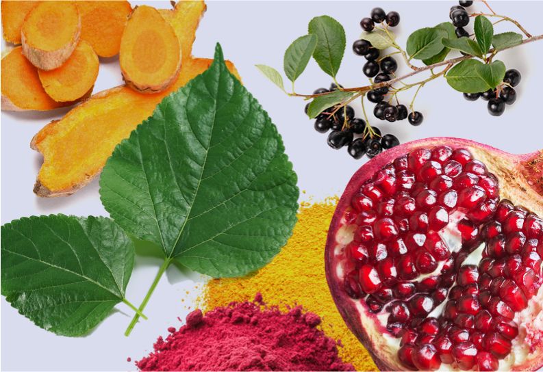 Various supplements placed on a flat surface, including piles of inositol, chromium, biotin powder, curcumin slices, pomegranate seeds for polyphenols, and a puddle of vitamin D. These ingredients are commonly used as PCOS supplements to manage symptoms of polycystic ovary syndrome (PCOS), such as insulin resistance, hormonal imbalances, skin issues, fatigue, and irregular menstrual cycles. Each supplement and polyphenol-rich pomegranate plays a role in supporting metabolic health, improving skin appearance